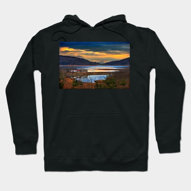 It's a new dawn, it's a new day Hoodie by Cretense72